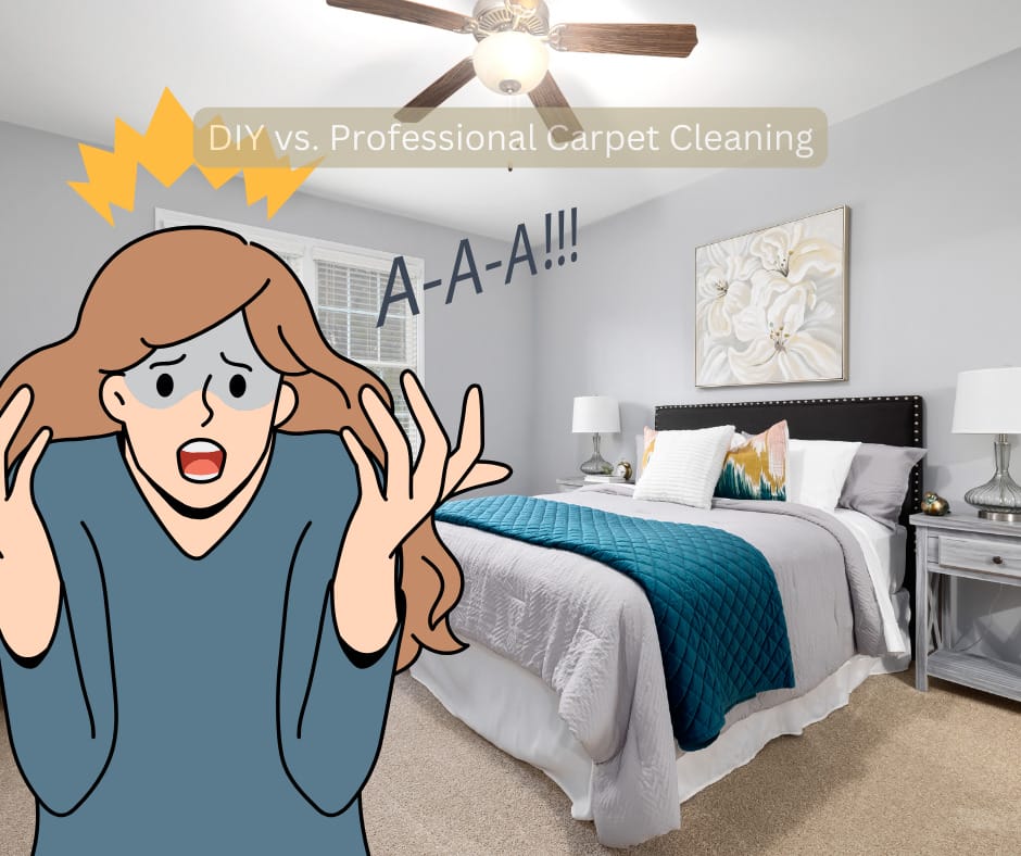 DIY Vs Professional Carpet Cleaning Service