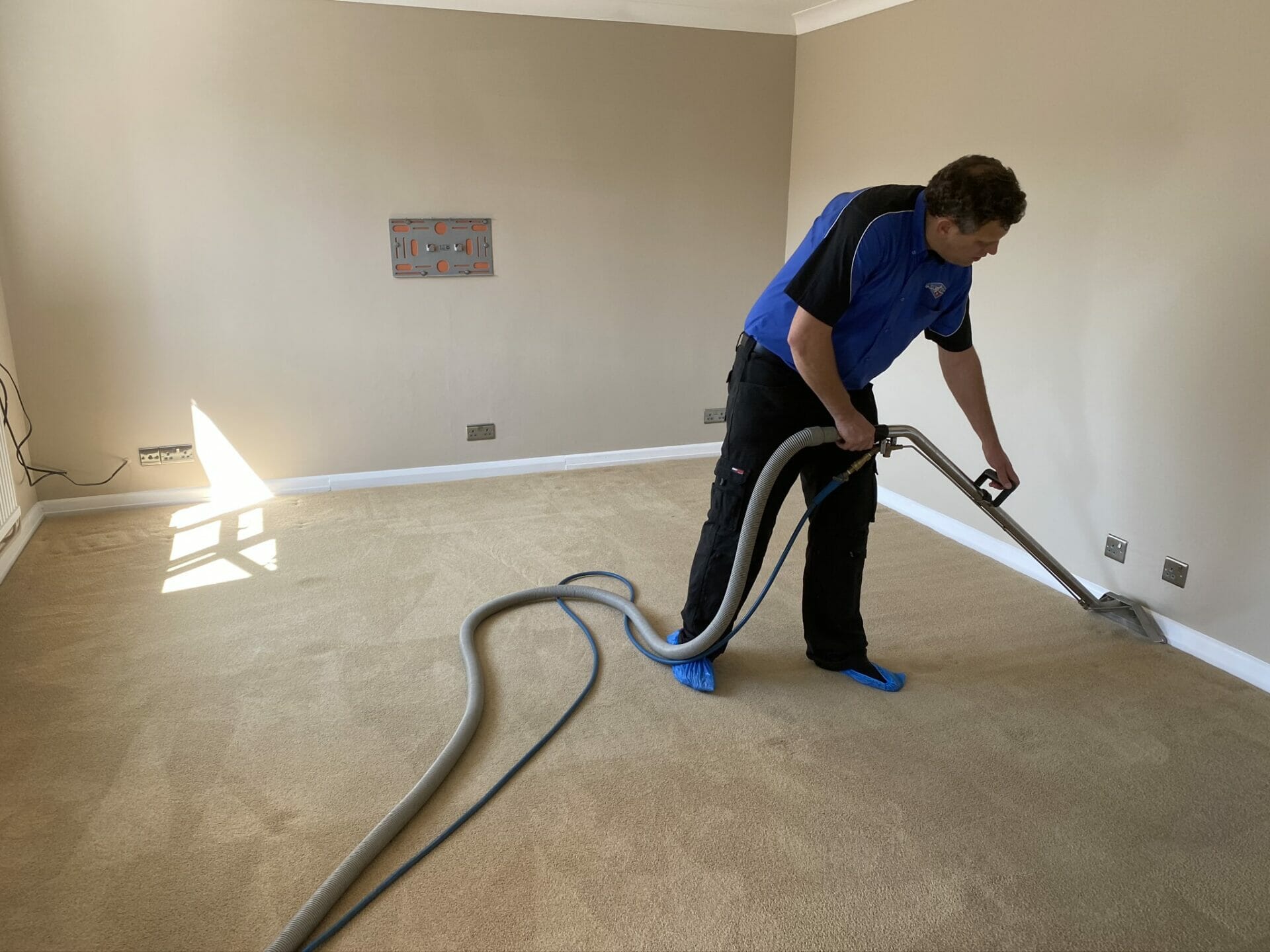 carpet cleaning cambridge