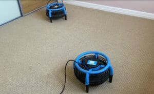 drying carpet cleaning