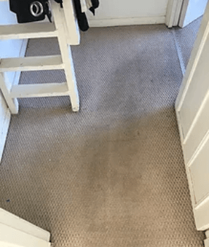 Carpet cleaning Hamsphire