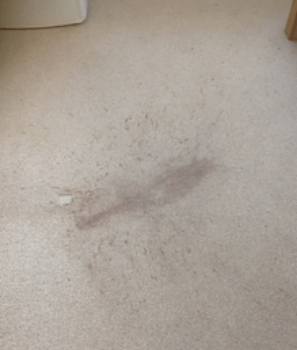 stain removal service Cambridge