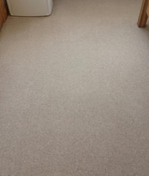 Carpet Cleaning Cambridge