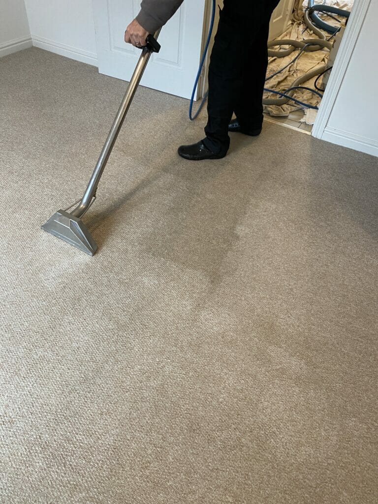 carpet cleaning Cambridge