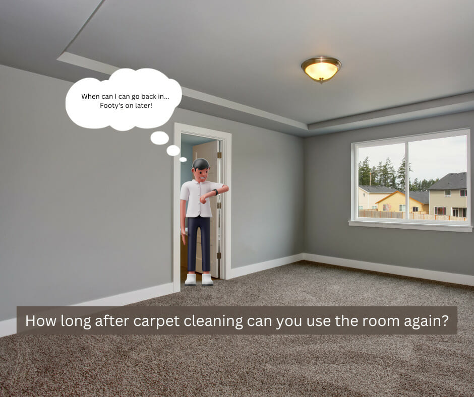 Fiber Restoration  Carpet Cleaning & Fiber Protection In South