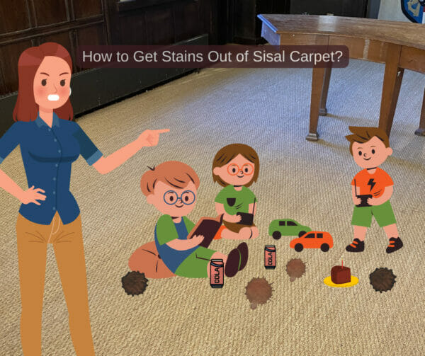 how-to-get-stains-out-of-sisal-carpet