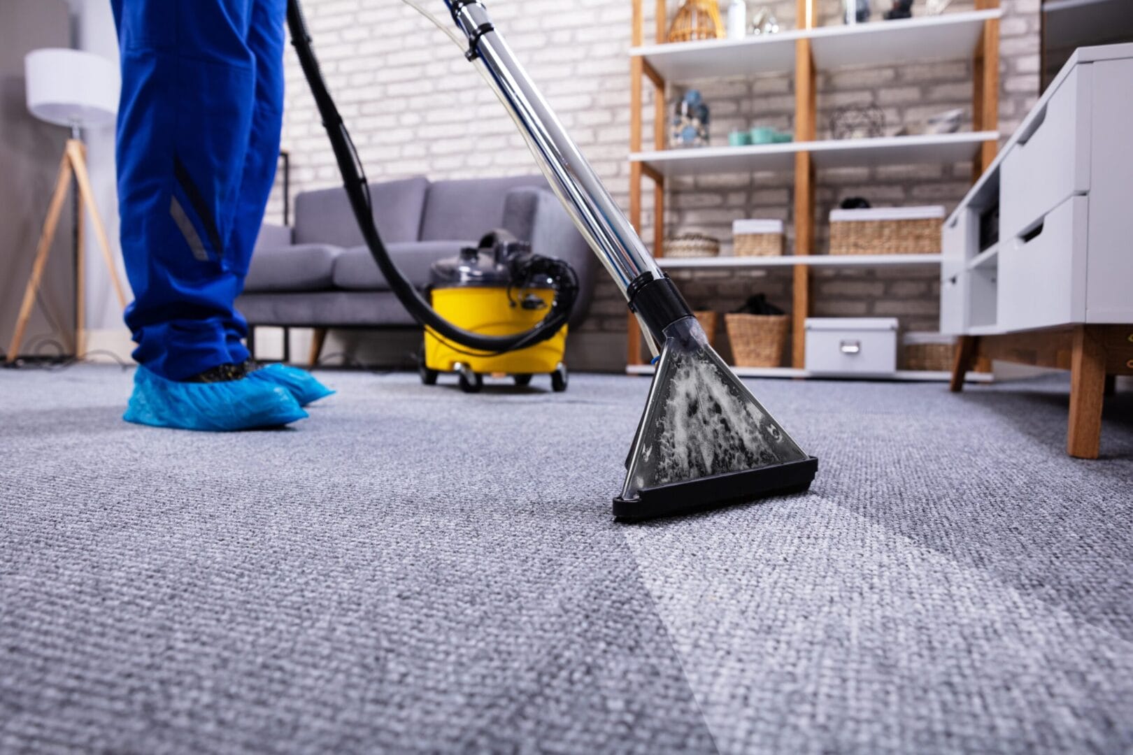 Professional carpet cleaning service using deep steam extraction equipment