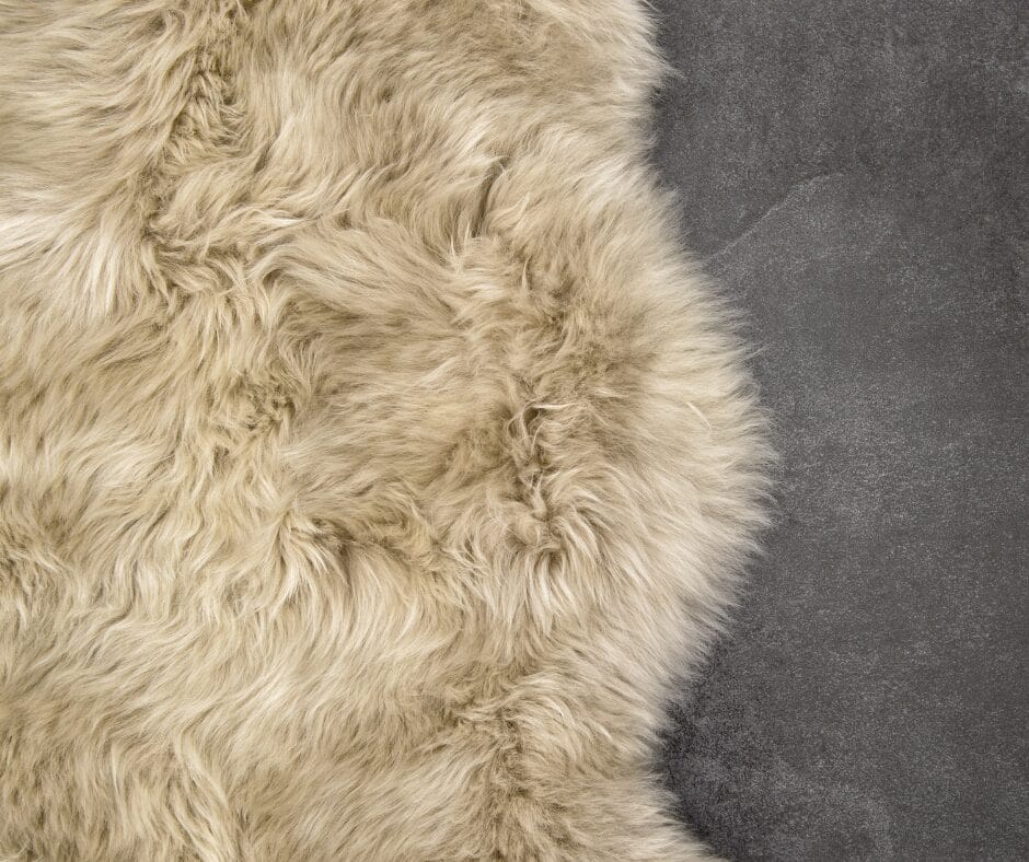Why We Don’t Clean a Sheepskin Rug Rug Cleaning Cambridge (1)
