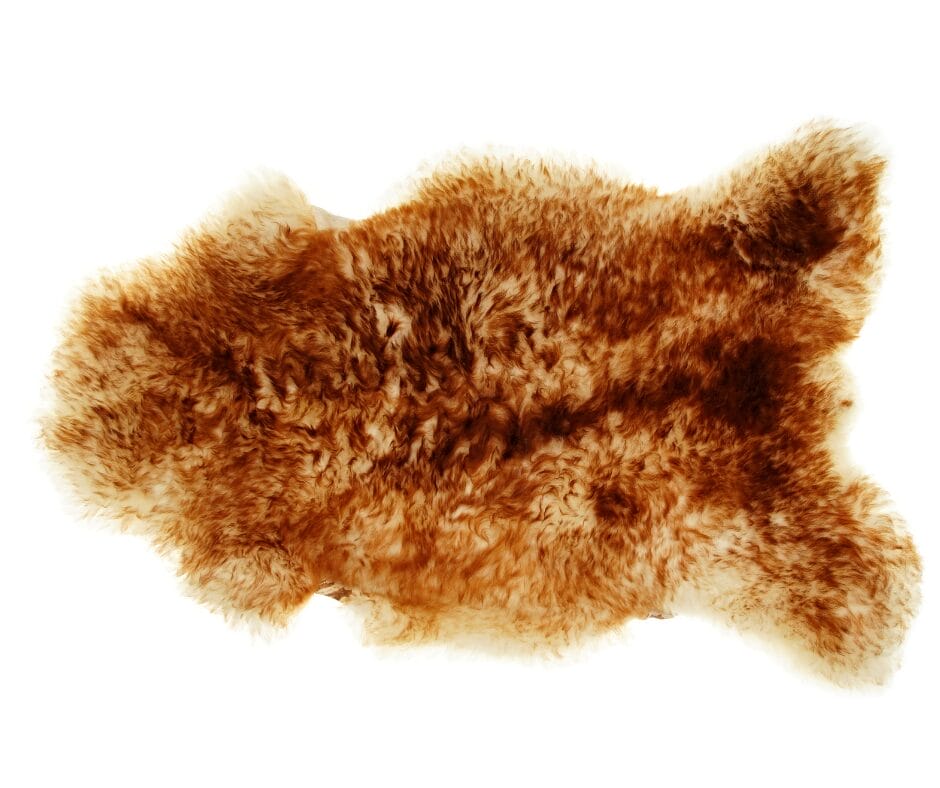 Why We Don’t Clean a Sheepskin Rug Rug Cleaning Cambridge