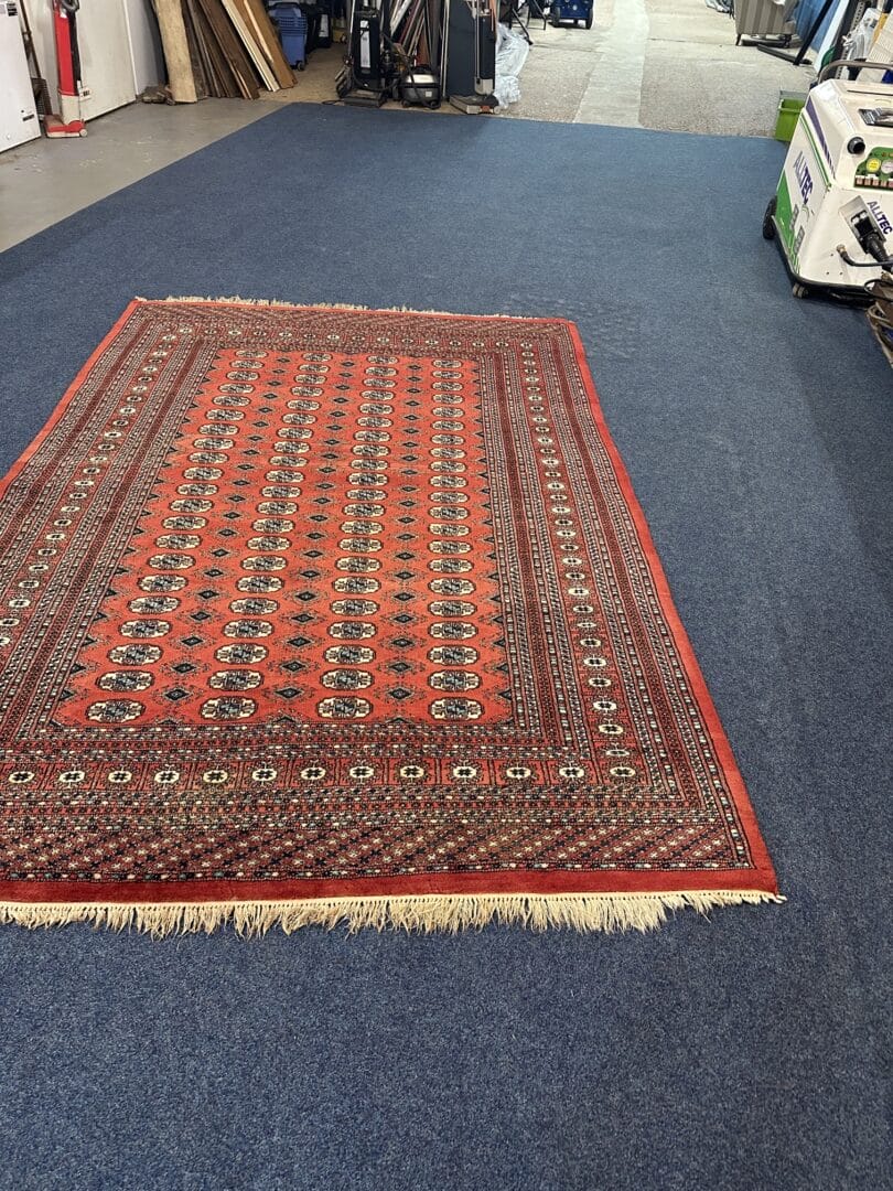 Persion Rug Cleaning Art of Clean Cambridge 2