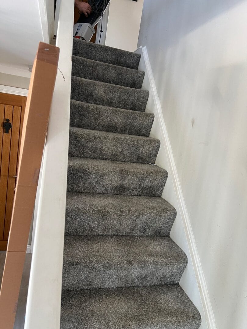 Carpet Cleaning Case STudy in wilburton Art of Clean Cambridge 2