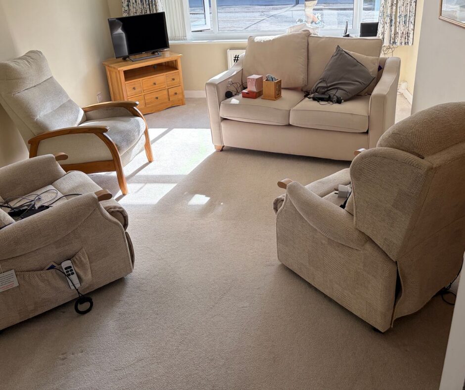 How to Get Urine Smell Out of Carpet (and Stop It Coming Back) Art of Clean